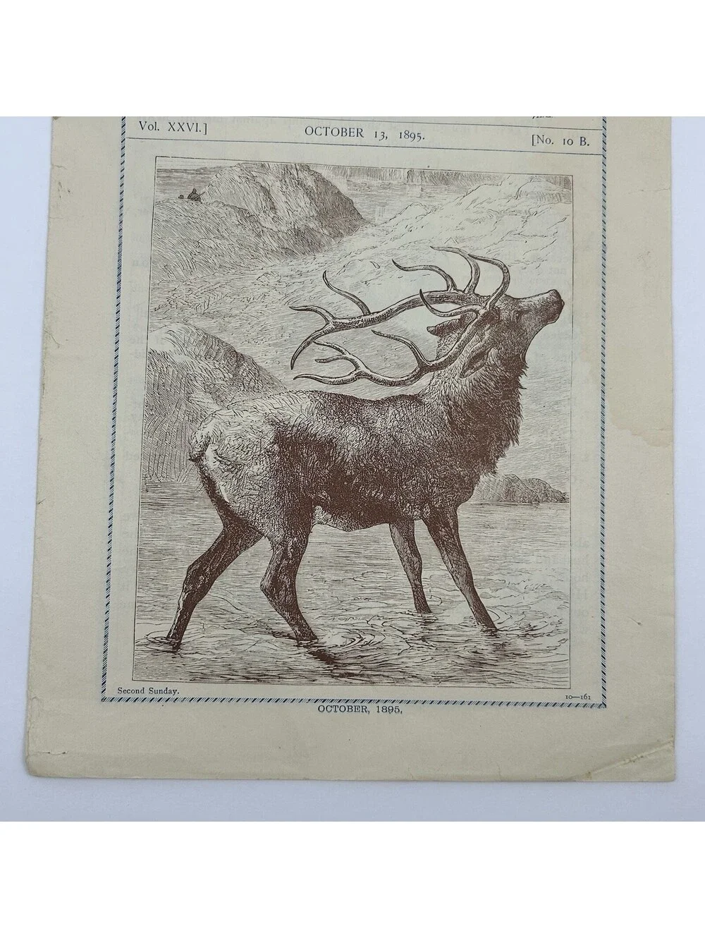 Antique 1895 Picture Lesson Paper Sunday School Childrens Weekly Stag Print  C18